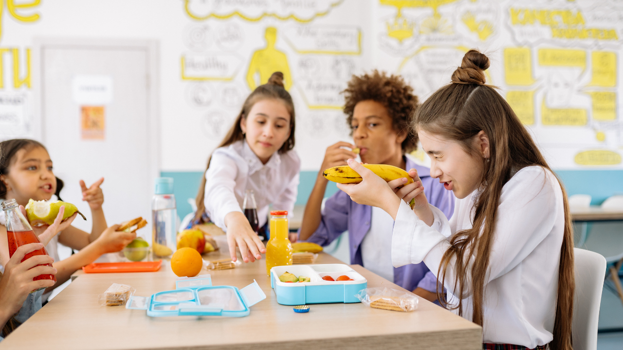 Accueil des enfants allergiques en collectivités